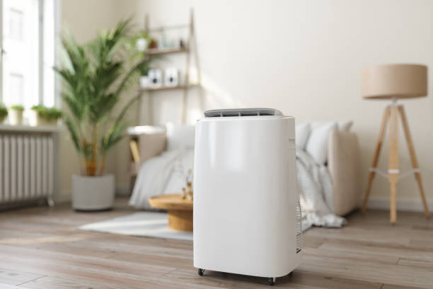 Best Air Filters and Purifiers in Atlantic Beach, FL